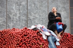 An Apple a day 17 * 5616 x 3744 * (6.26MB)
